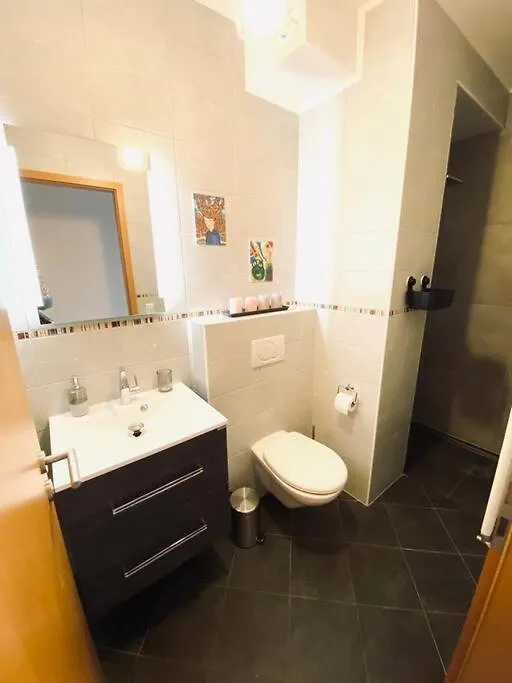 Studio In City Center With Private Terrace Luxemburg 0*,  Luxemburg